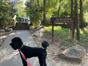 Captain At Cabin John P