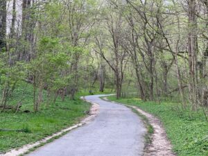 Family activities in Chevy chase