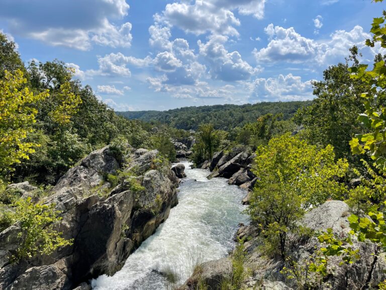 Family activities in Chevy Chase Great Falls