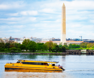 Family activities in Georgetown 