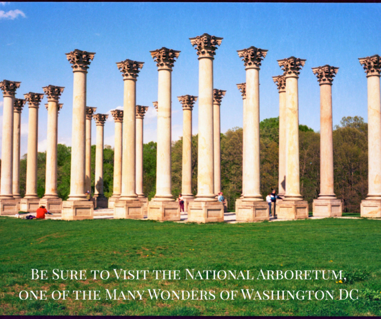 top 7 out-door activities