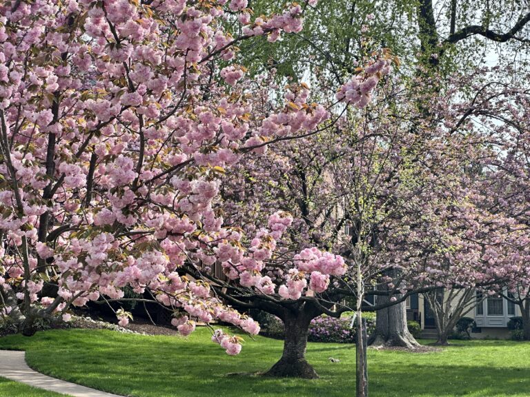 good investment in Kenwood Forest