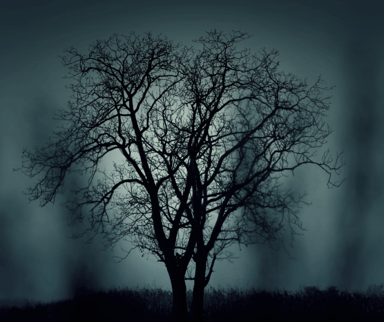 Good Halloween movies